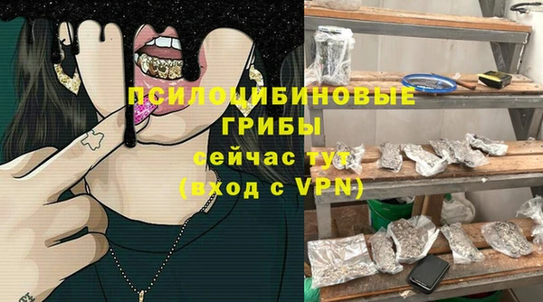дживик Алексин